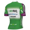 Wielershirt 2023 Bardiani-CSF Faizane - Groen Wit